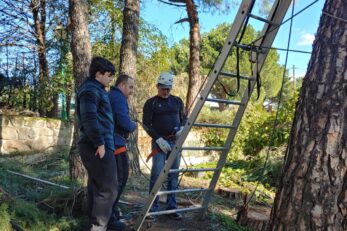 poda-en-altura curso de trabajo en altura