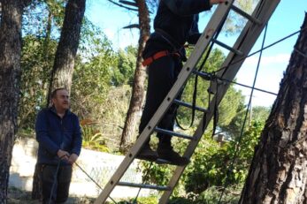 trabajos-en-altura-poda Trabajos de poda en altura